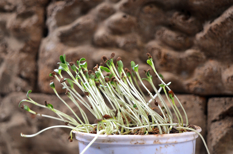 shreyas-more-the-green-charcoal-sustainable-construction-06-06-2019-designboom