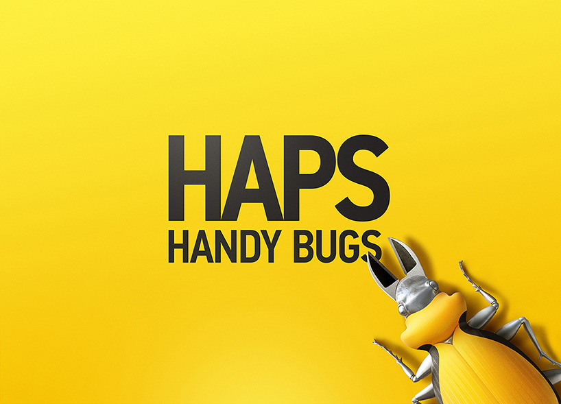 igor mitin handy bugs
