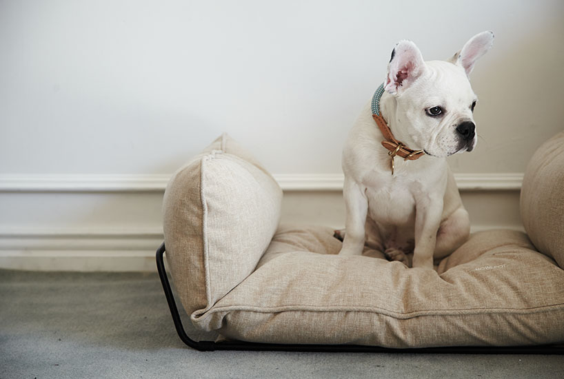 howlpot creates bespoke furnishings for your favorite companion