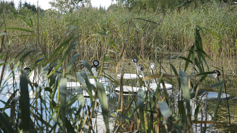 marco barotti swans marco barotti swans