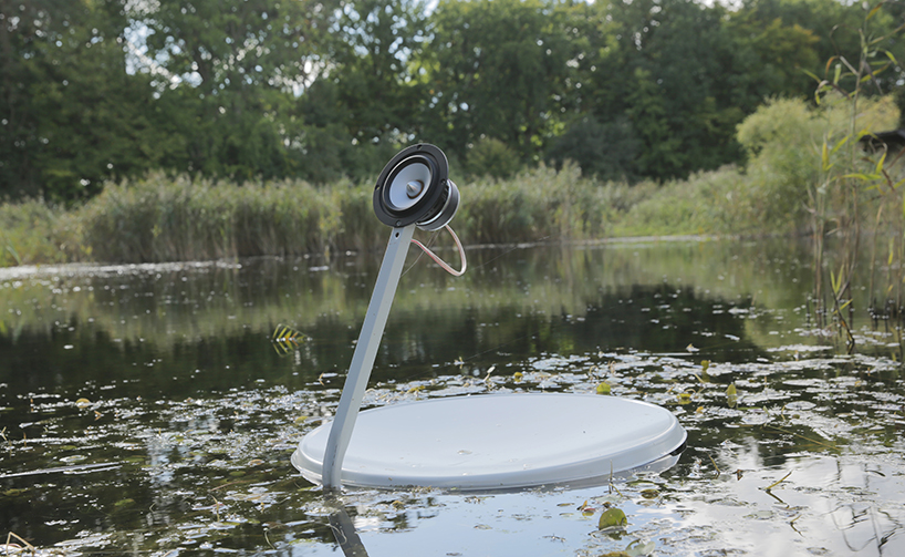 marco barotti swans marco barotti swans