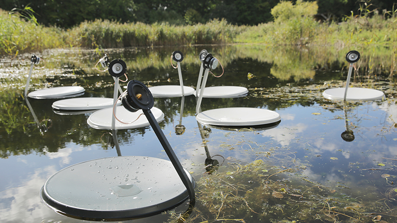 marco barotti swans marco barotti swans