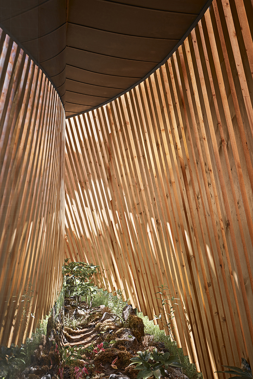 double-layer timber facade enfolds renovated public toilet in korea by daniel valle architects