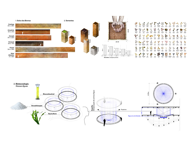 kozlowski + cardia propose a floating pavilion of tree branches for the dubai expo 2020
