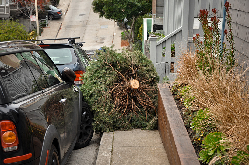 wei keong depicts final days of discarded christmas trees