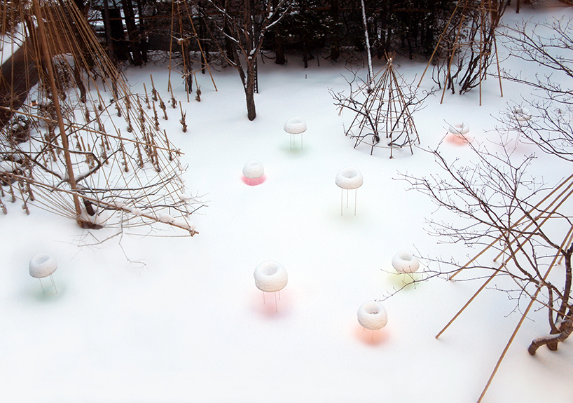 toshihiko shibuya's snow pallet 11 forms doughnuts with vivid color reflections