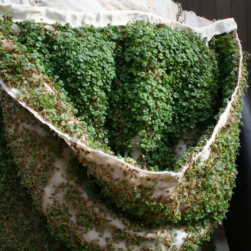 elizabeth esponnette chia vest 