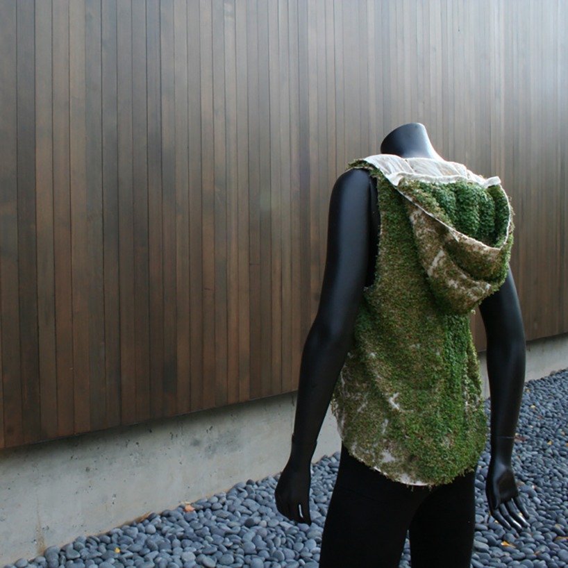 elizabeth esponnette harnesses nature to grow wearable chia vest