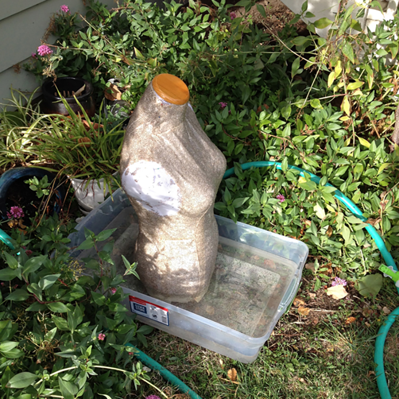 elizabeth esponnette harnesses nature to grow wearable chia vest