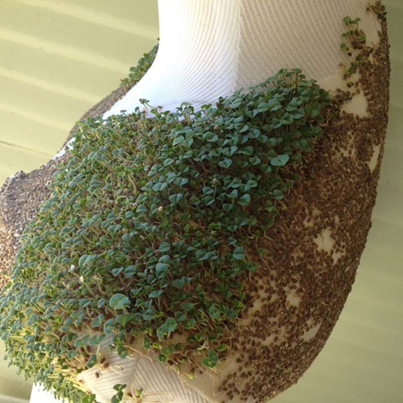 elizabeth esponnette chia vest 