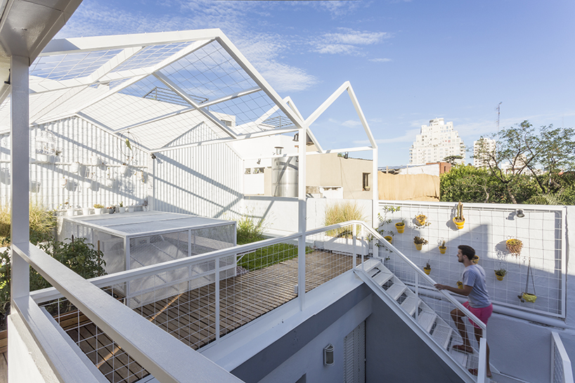 marantz arquitectura terrace refurbishment buenos aires designboom