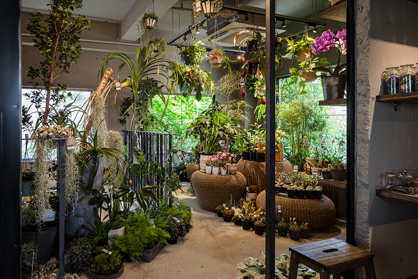 Kias Transforms The Residence Into An Exotic Florist In Tokyo Deri Pepper