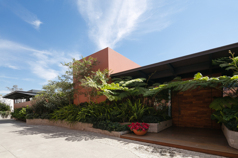 taller arquitectónica completes palme house in guadalajara