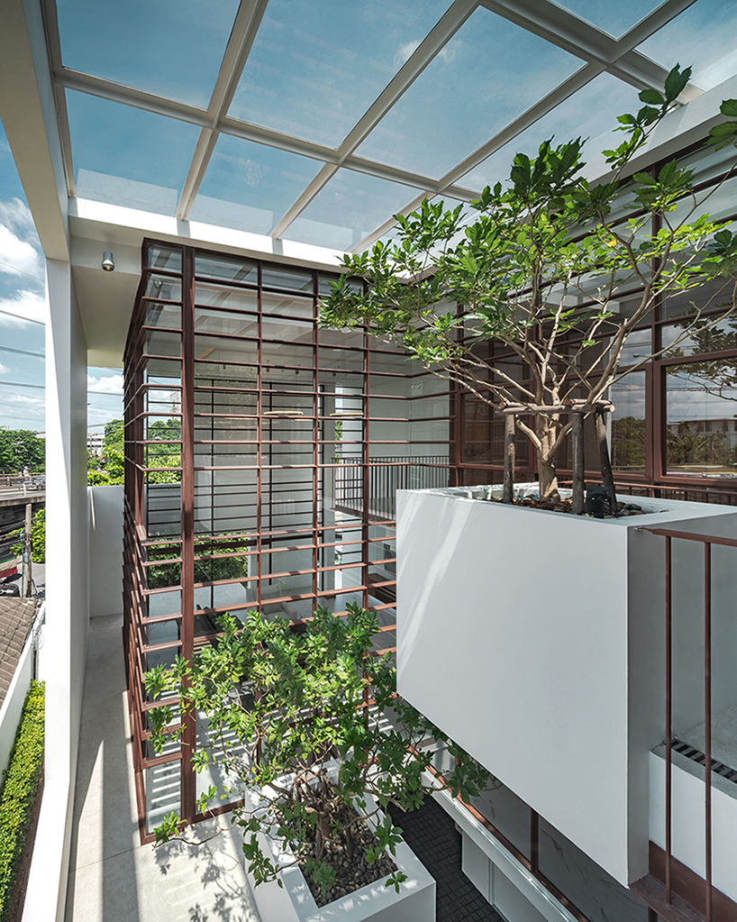 anonym studio merges indoor and outdoor space to create tree house in bangkok designboom