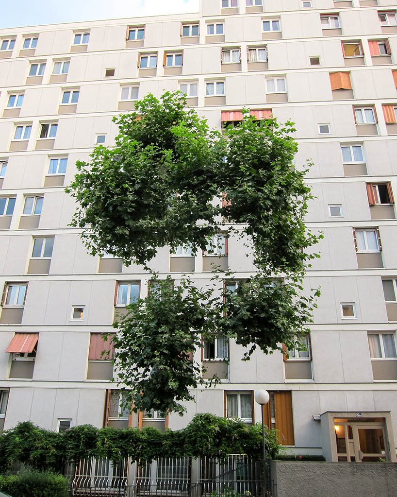 hugo livet's latest photography series depicts cityscapes with floating trees