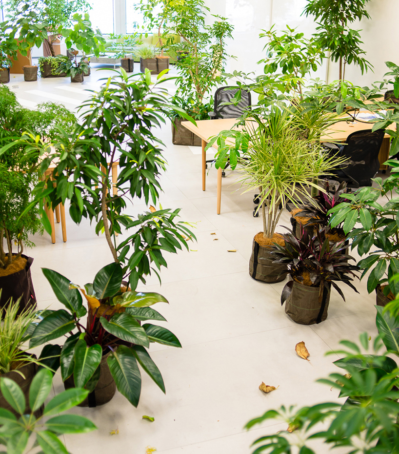 frontoffice adds greenery to transformable office in tokyo