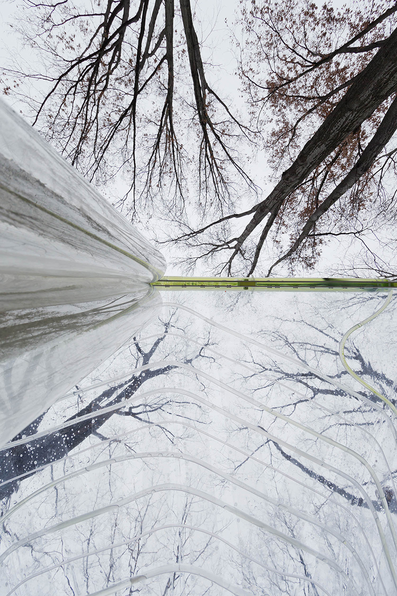 algaevator photobioreactor jie zhang tyler stevermer designboom