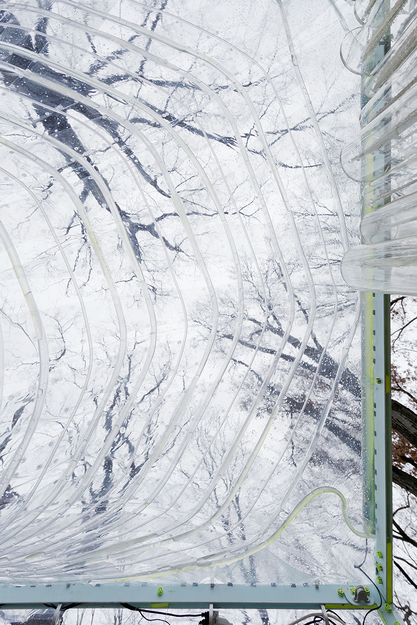 algaevator photobioreactor jie zhang tyler stevermer designboom