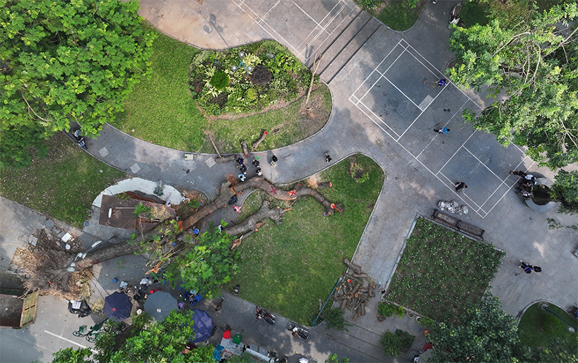 reflective steel skin clads sculpture emerged from fallen tree after typhoon in hanoi