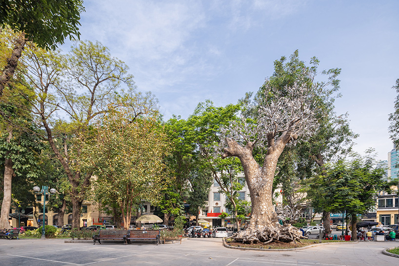 Patung kulit reflektif muncul dari pohon tumbang setelah topan di Hanoi