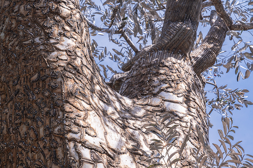 reflective steel skin clads sculpture emerged from fallen tree after typhoon in hanoi