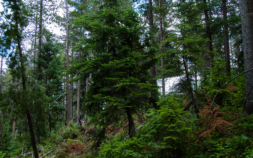 office ca reflector hyper lightweight installation colorado designboom