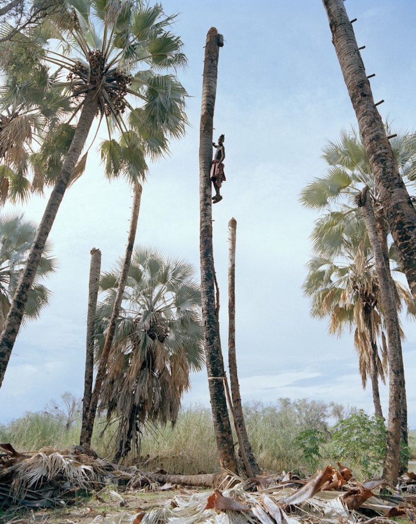 cape town-based photographer kyle weeks documents the dangerous practice of palm wine collecting