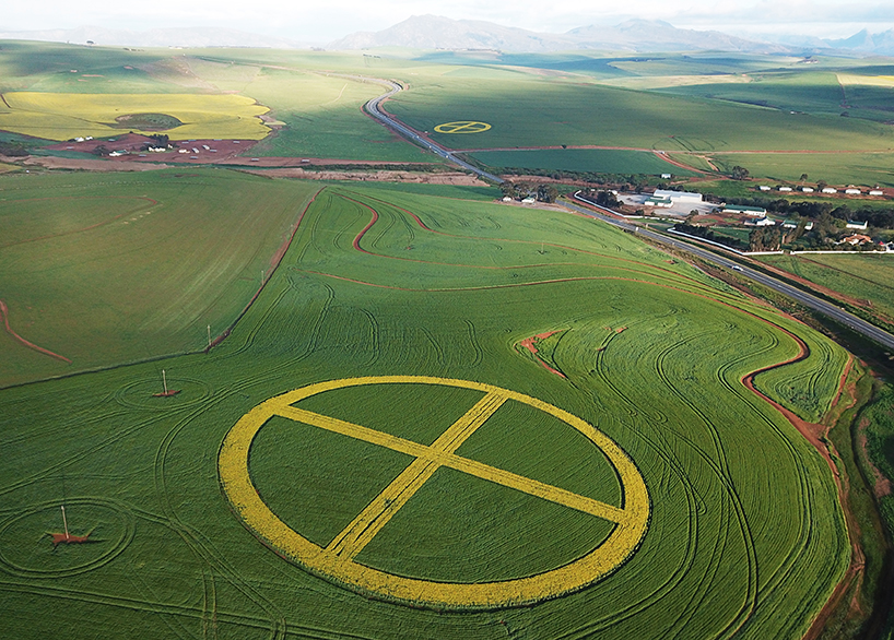 strijdom van der merwe plants two earth symbols with canola and wheat in south africa designboom