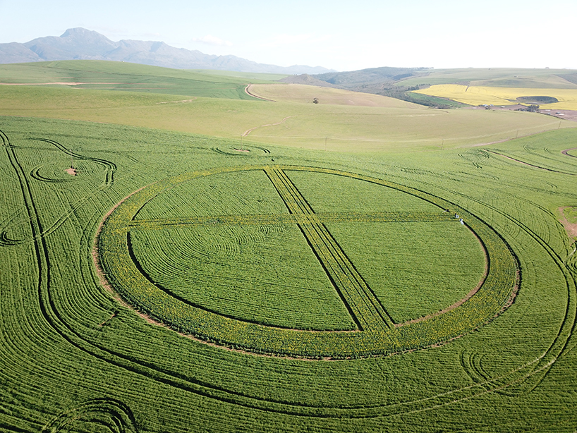 strijdom van der merwe plants two earth symbols with canola and wheat in south africa