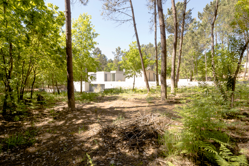 waataa quinta do carregal house portugal designboom
