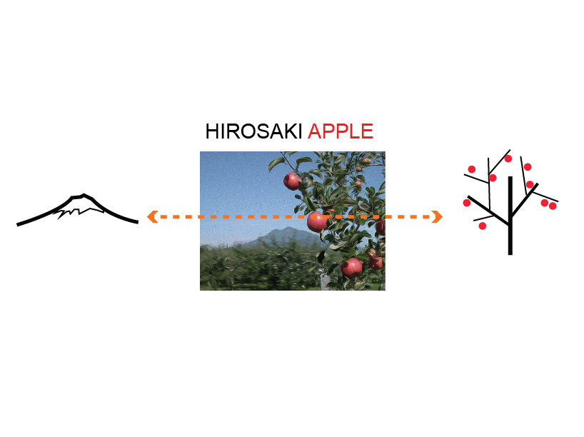 HIROSAKI APPLE SHELF