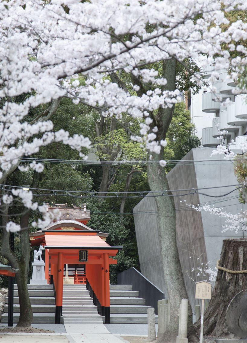 the takenaka group pay reverence to kobe's ikuta shrine with a minimal concrete treasure house