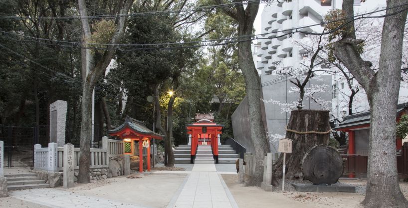 the takenaka group pay reverence to kobe's ikuta shrine with a minimal concrete treasure house