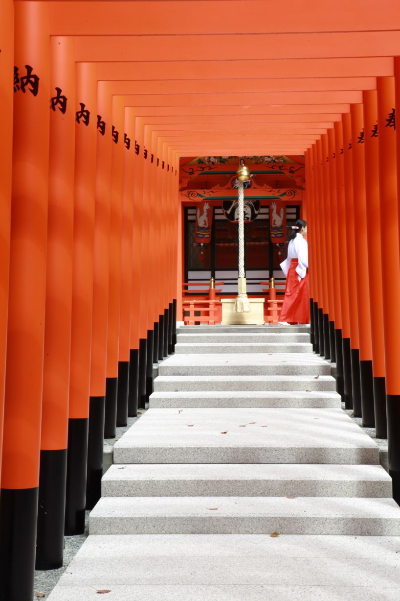 the takenaka group pay reverence to kobe's ikuta shrine with a minimal concrete treasure house