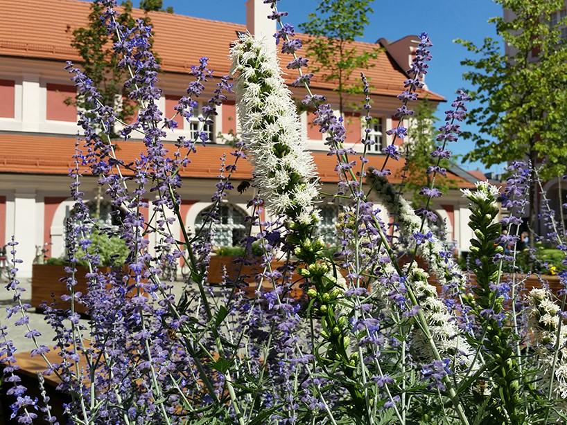 atelier starzak strebicki revives courtyard in poland with landscaped street furniture