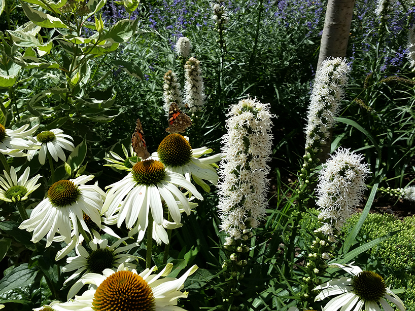 atelier starzak strebicki revives courtyard in poland with landscaped street furniture