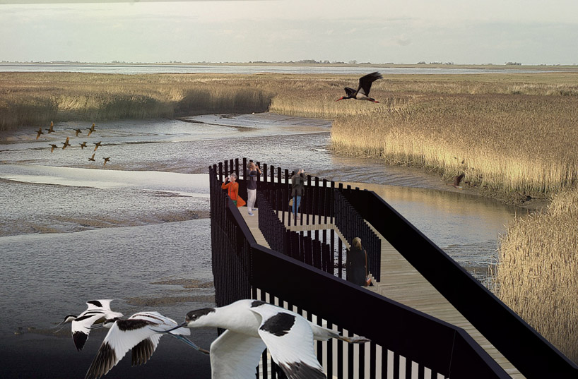 krill observation tower designboom competition birds dutch latvia krill o.r.c.a