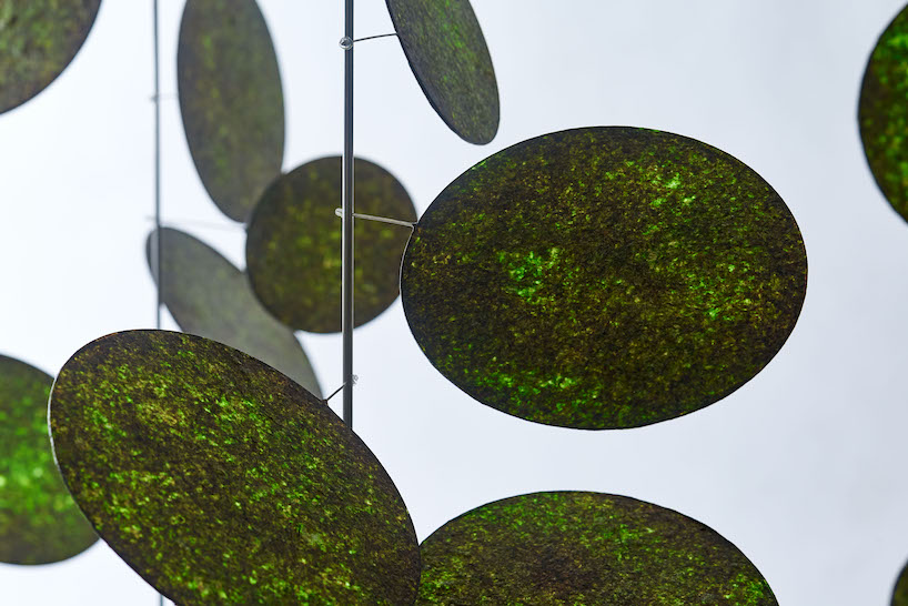 we+ revives contaminated seaweed as luminous installation using japanese handicrafts