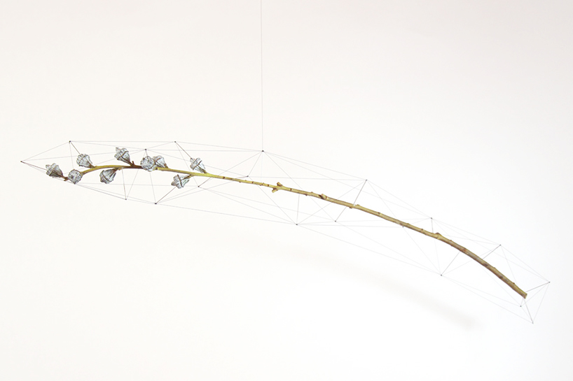 studio note frame driftwood + flowers in delicate polygonal skeletons