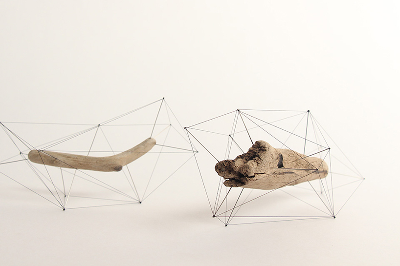 studio note frame driftwood + flowers in delicate polygonal skeletons