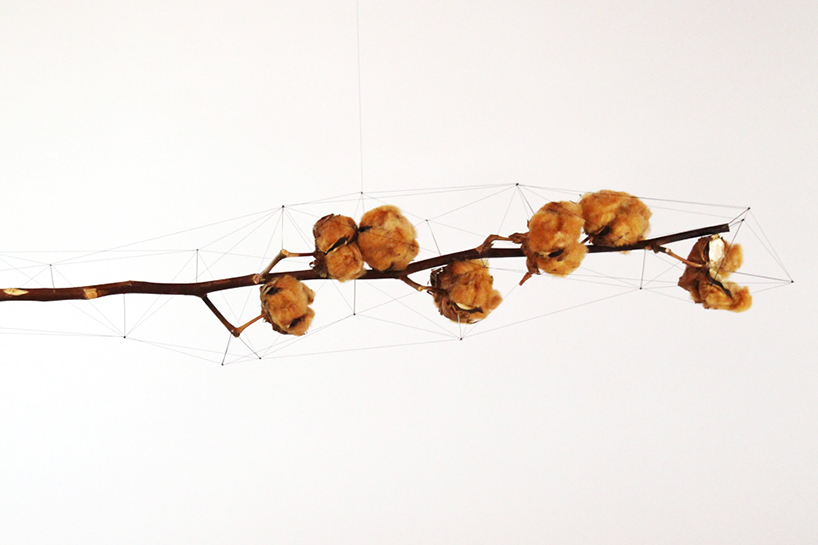 studio note frame driftwood + flowers in delicate polygonal skeletons