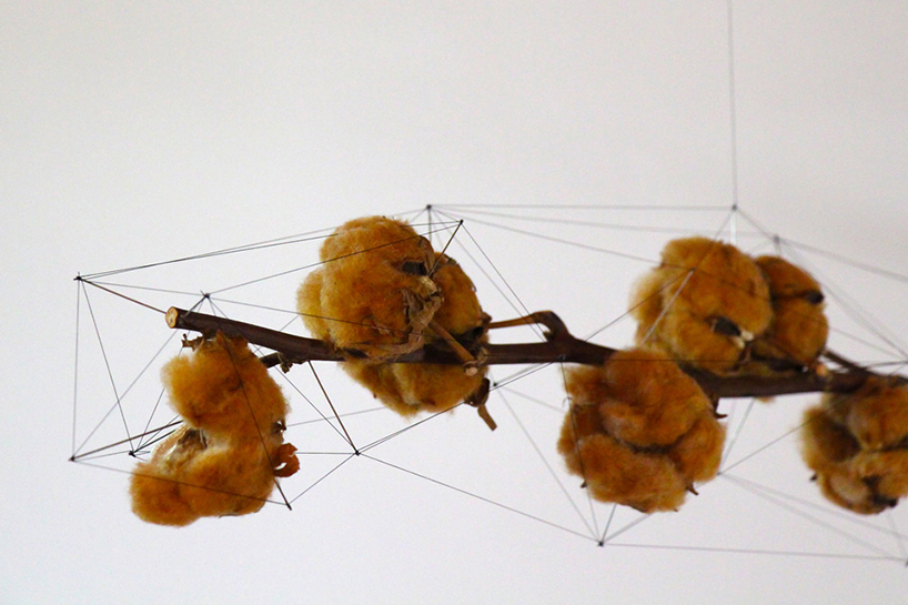 studio note frame driftwood + flowers in delicate polygonal skeletons
