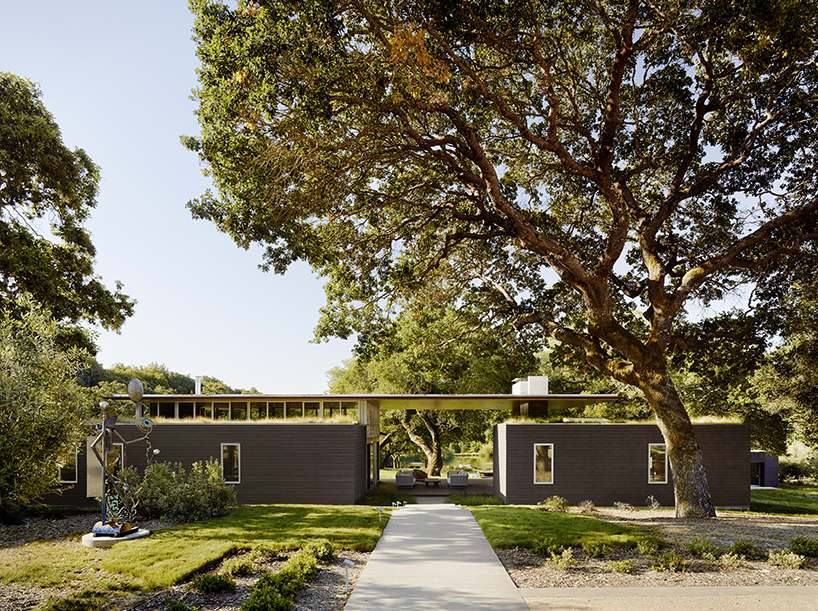 turnbull griffin haesloop architects sonoma residence designboom