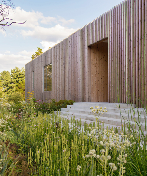 the meadow house by office mian ye deeply connects to nature and light