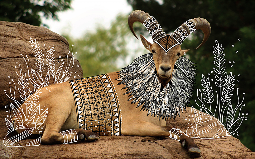 rohan sharad dahotre animal doodles designboom