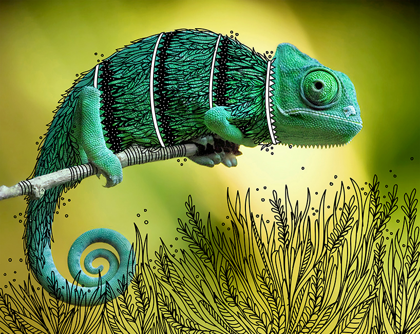 rohan sharad dahotre animal doodles designboom