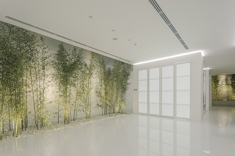 v studio's rooftop bamboo garden sits atop a busy chinese shopping mall