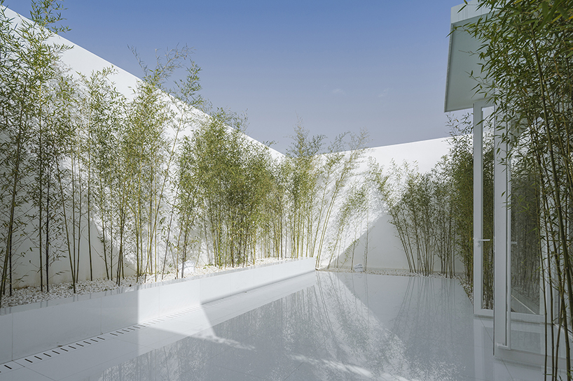 v studio's rooftop bamboo garden sits atop a busy chinese shopping mall