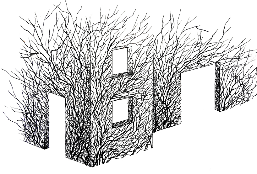 V studio's boston ivy-covered artwork preserves the memory of old shanty towns in china