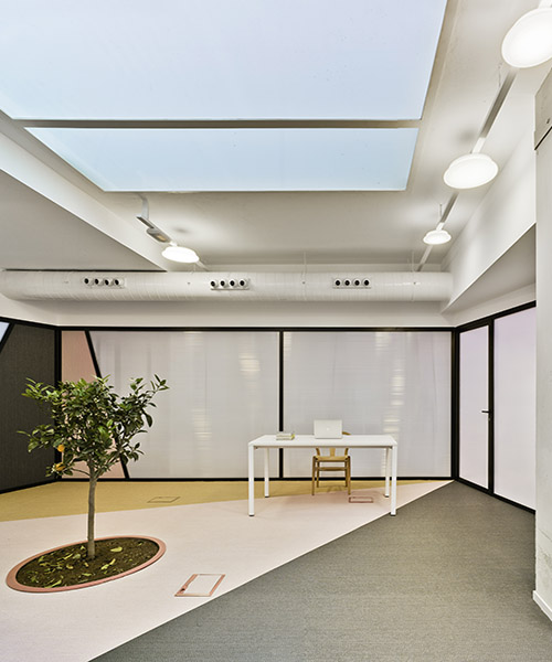 laura ortín adds a zest of colors to LANO FRUITS' office space in murcia